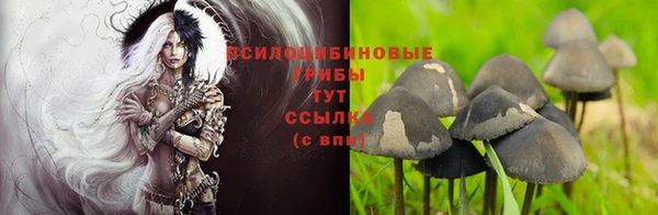 МДПВ Алексеевка