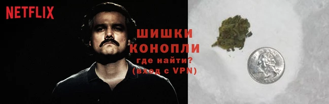 мяу мяу мука Россошь