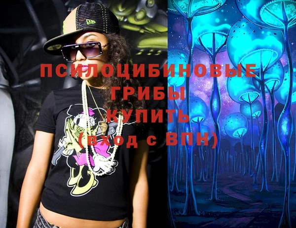 синтетический гашиш Алексин