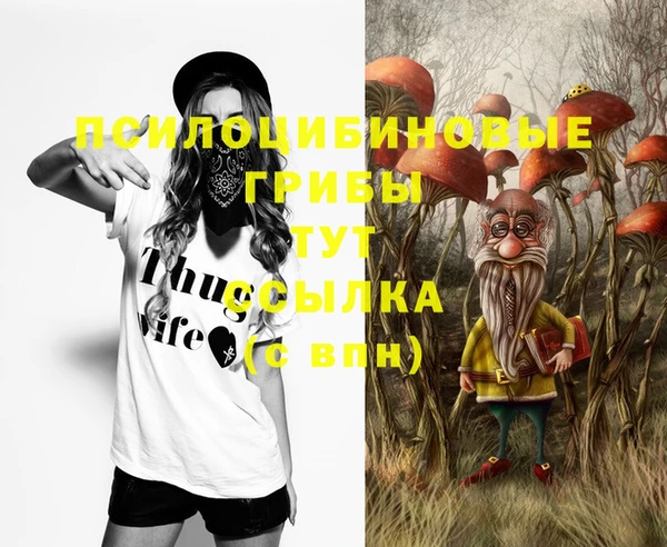 синтетический гашиш Алексин