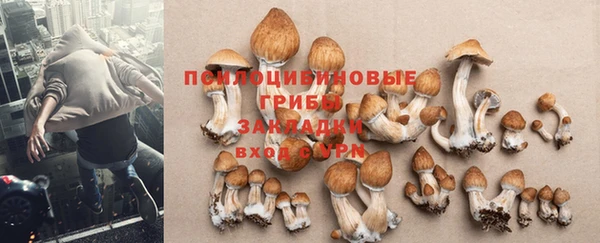 синтетический гашиш Алексин