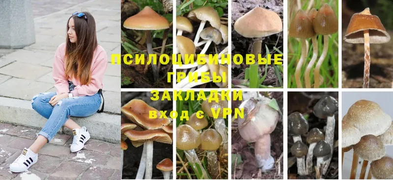 mega вход  Лесосибирск  Галлюциногенные грибы Magic Shrooms 