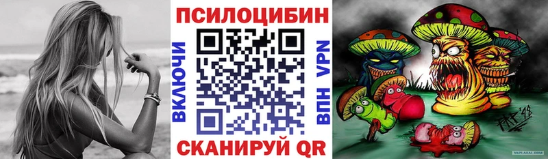 Галлюциногенные грибы Psilocybe  закладки  Лесосибирск 