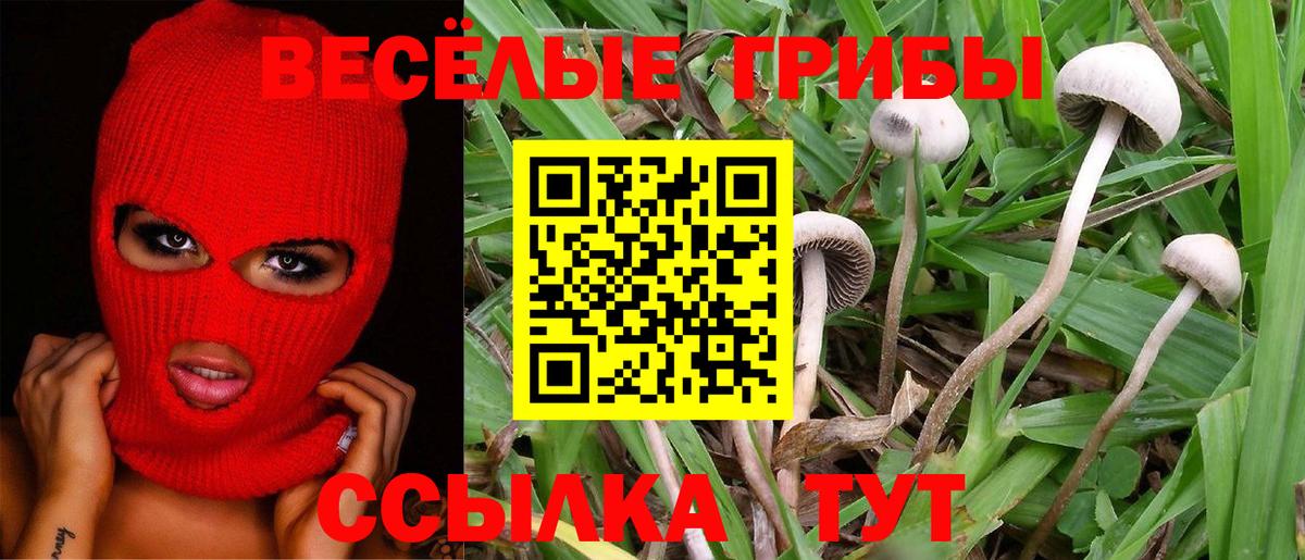 Бошки Шишки  Лесосибирск  ГАШ  Мефедрон кристаллы  Меф МЯУ МЯУ  Канабис  Где найти наркотики?  Гашиш  LSD-25  Вход с VPN  Кокаин 