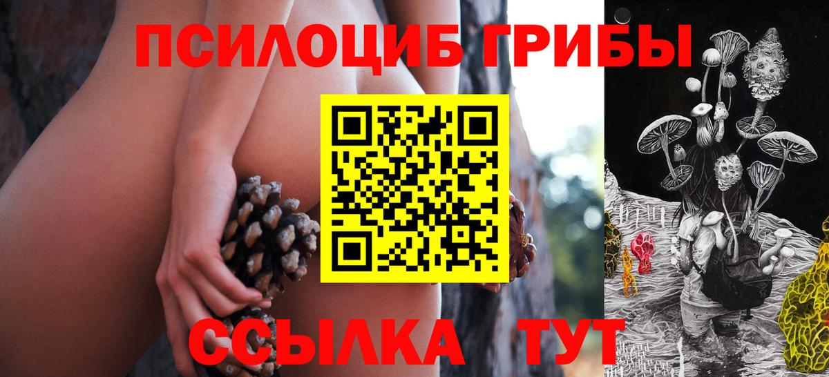 Лесосибирск  Галлюциногенные грибы MAGIC MUSHROOMS  где купить наркоту  Галлюциногенные грибы Psilocybe  Вход с VPN 